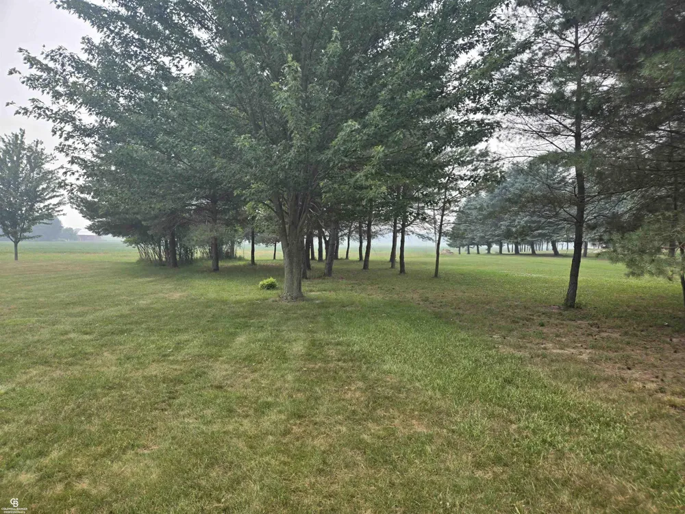 8045 Duquette Road Brockway Township, MI 48097