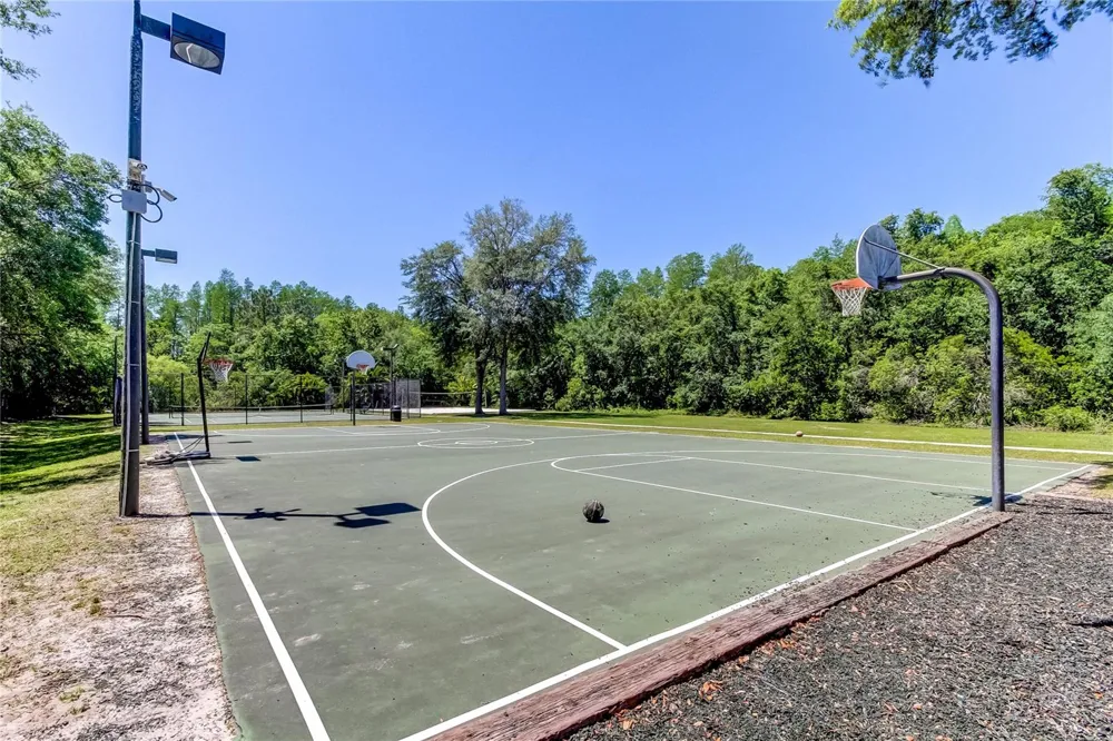 1422 ARISTIDES COURT Odessa, FL 33556