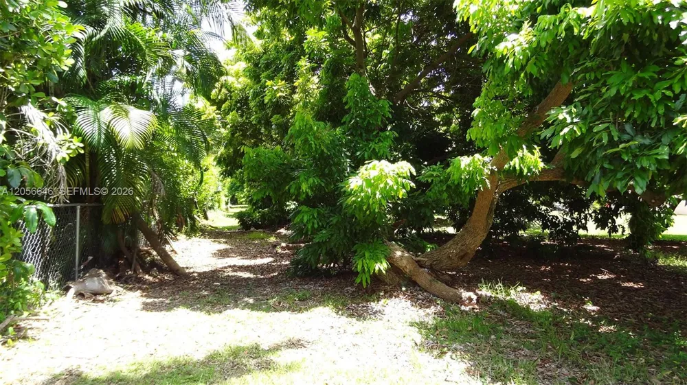 4 NE 152 St Biscayne Gardens, FL 33162