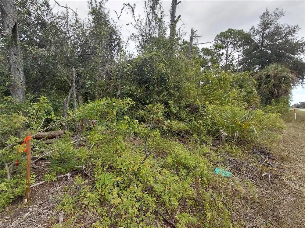 287 Avenida Del Sur Clewiston, FL 33440