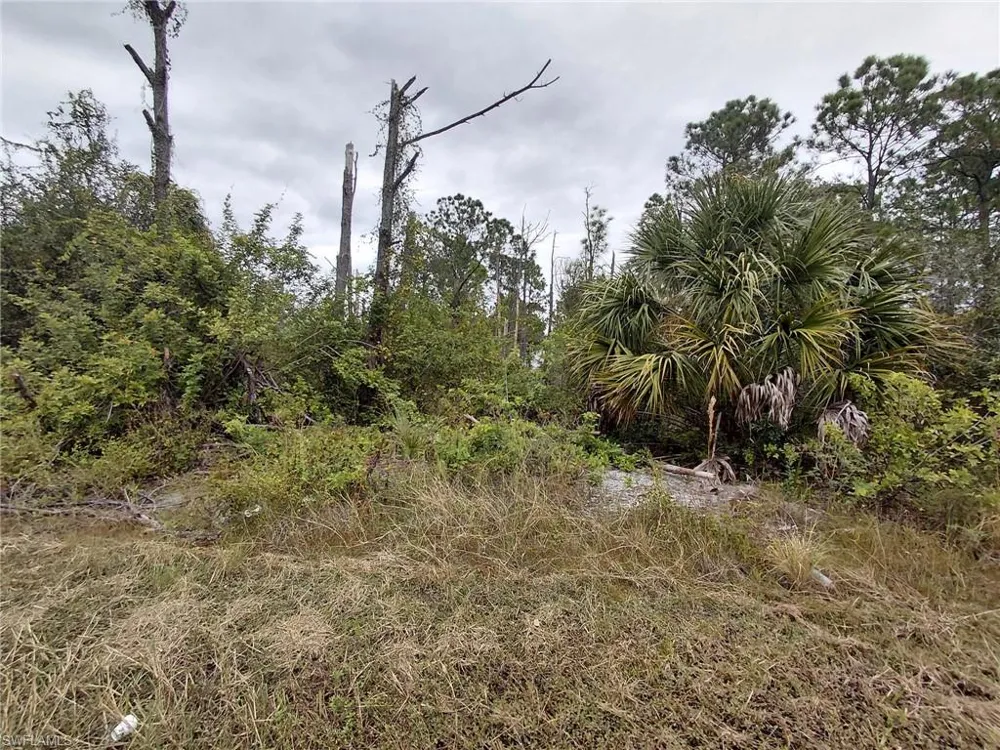 287 Avenida Del Sur Clewiston, FL 33440