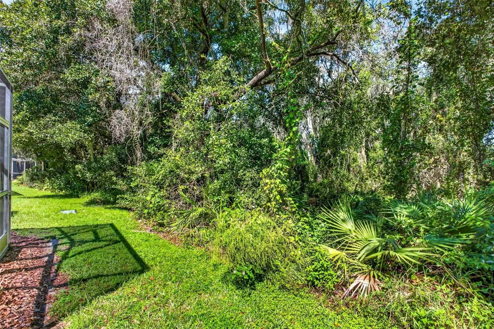5815 FISHHAWK RIDGE DRIVE Lithia, FL 33547