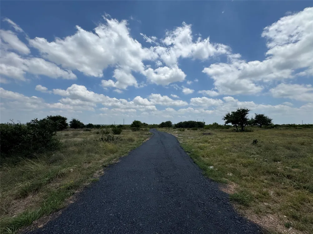 220 Three Creeks Drive Bertram, TX 78605