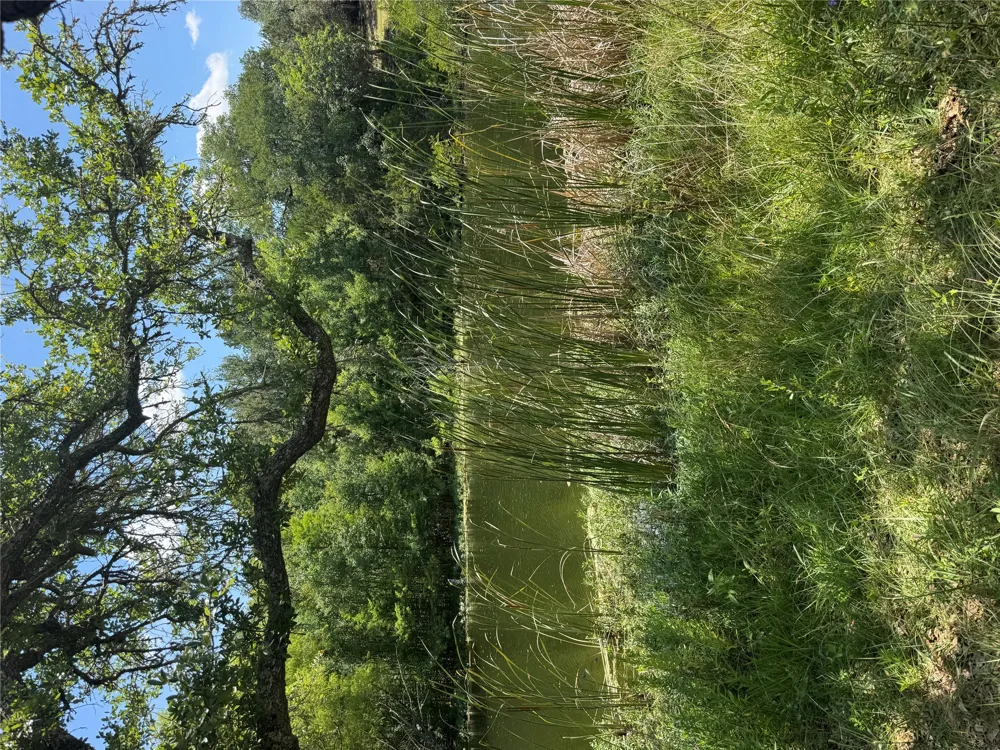 12501 Fitzhugh Road Austin, TX 78736