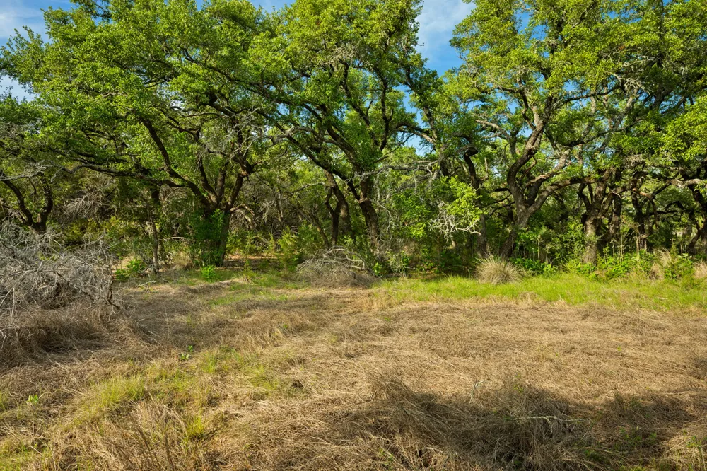 1 Esperanza Trail Johnson City, TX 78636