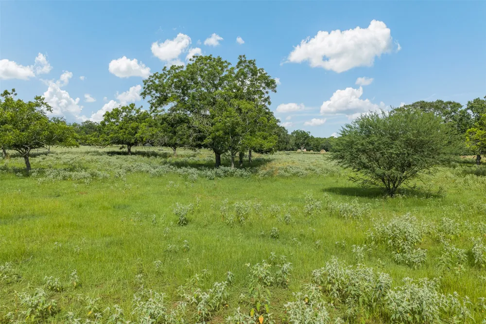 2005 W Grand Avenue Yoakum, TX 77995