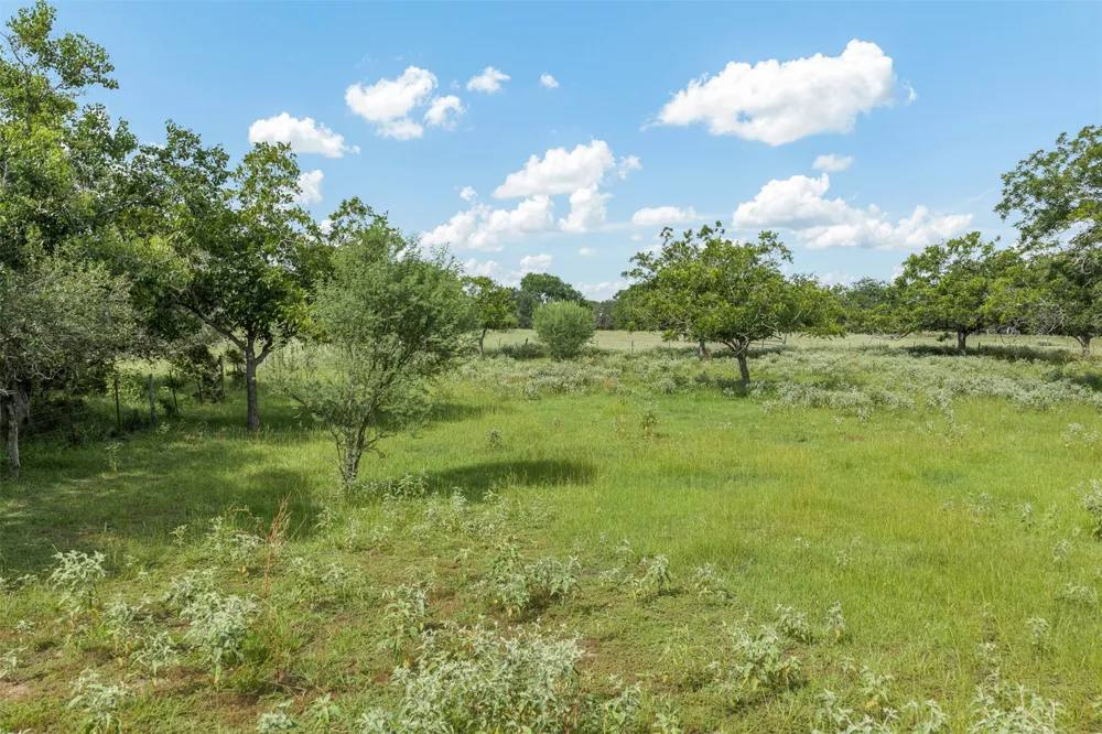 2005 W Grand Avenue Yoakum, TX 77995