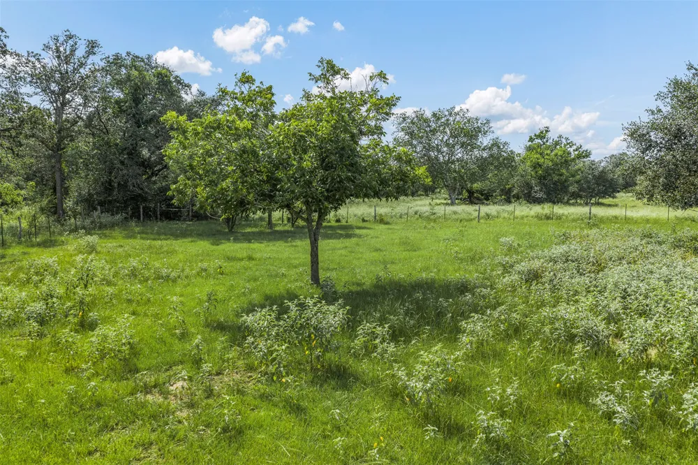 2005 W Grand Avenue Yoakum, TX 77995