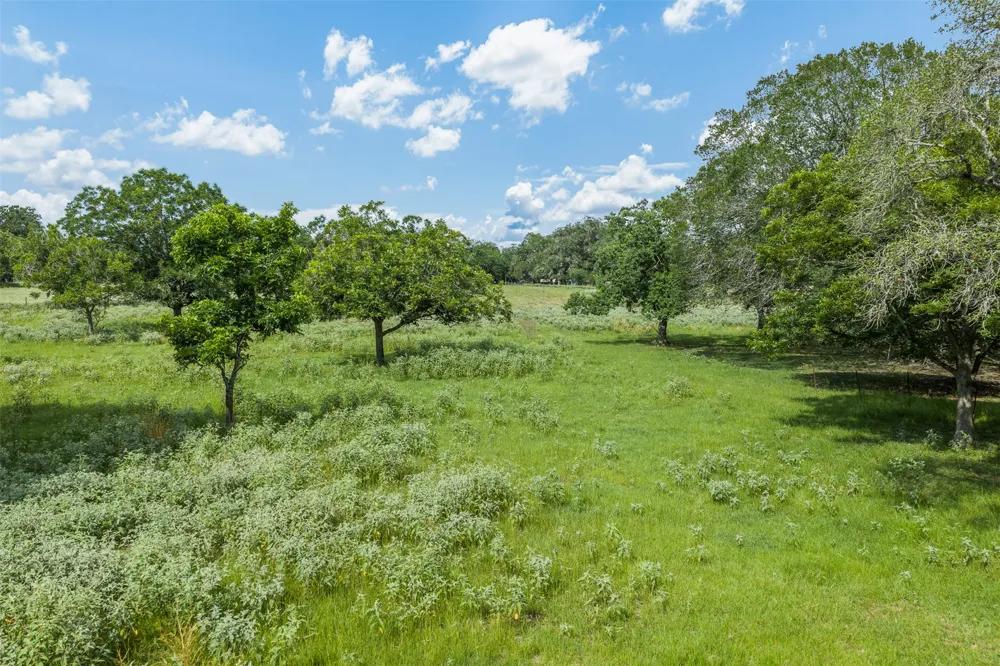 2005 W Grand Avenue Yoakum, TX 77995