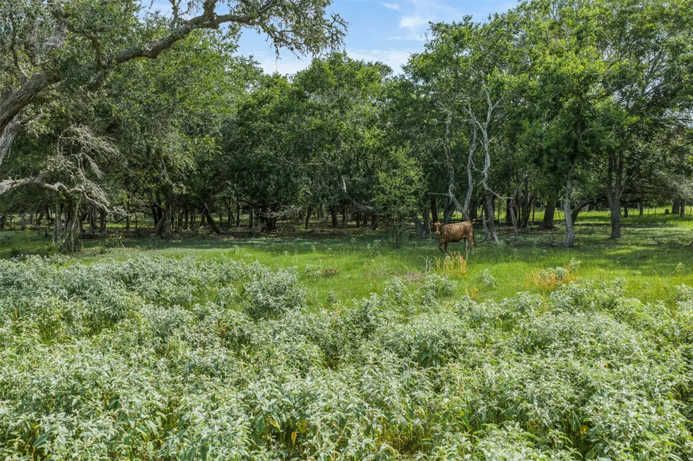 2005 W Grand Avenue Yoakum, TX 77995