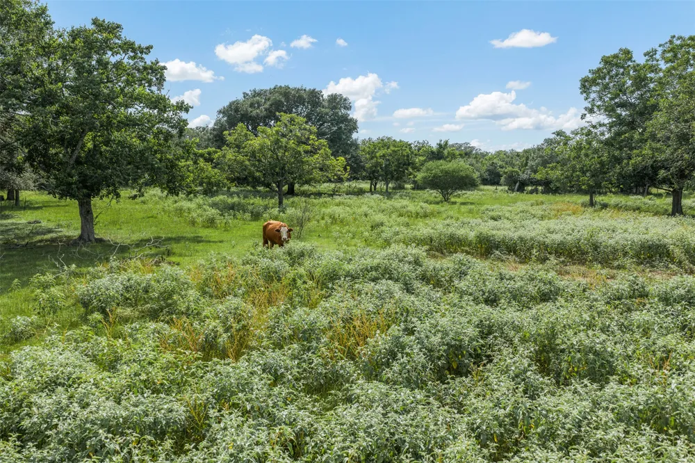 2005 W Grand Avenue Yoakum, TX 77995