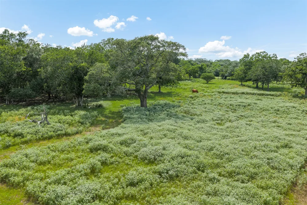 2005 W Grand Avenue Yoakum, TX 77995