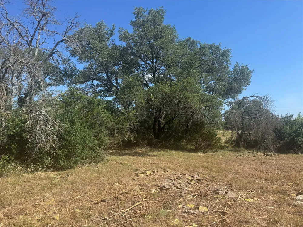 5 Back Bone creek Drive Burnet, TX 78611