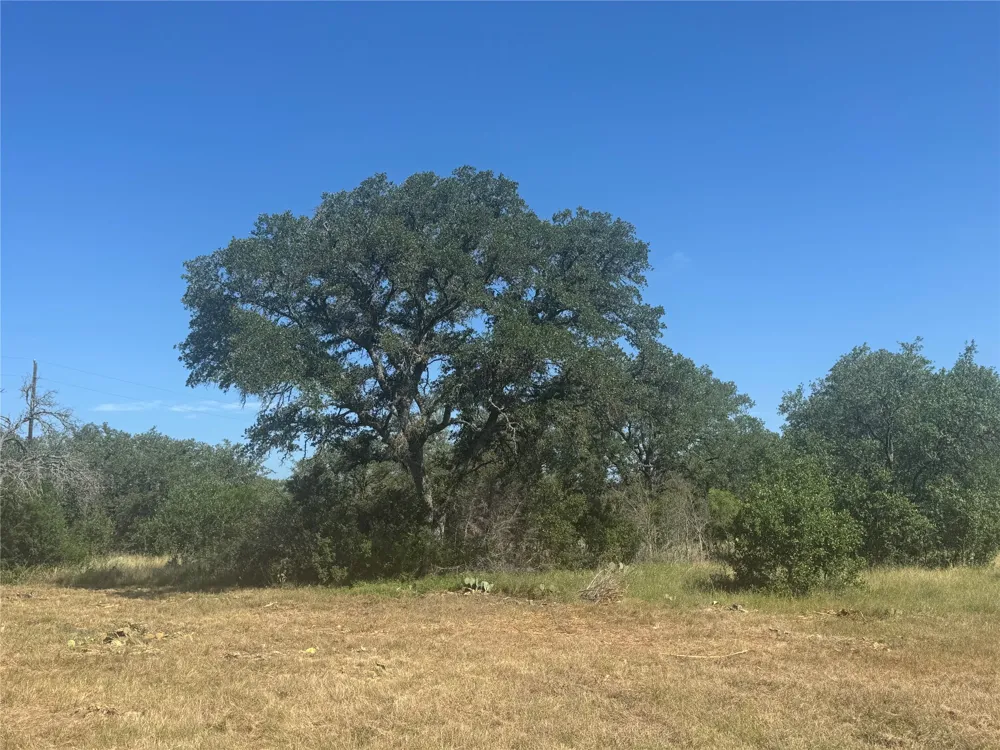 5 Back Bone creek Drive Burnet, TX 78611