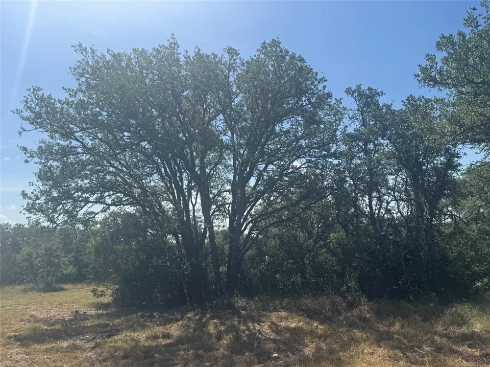 5 Back Bone creek Drive Burnet, TX 78611