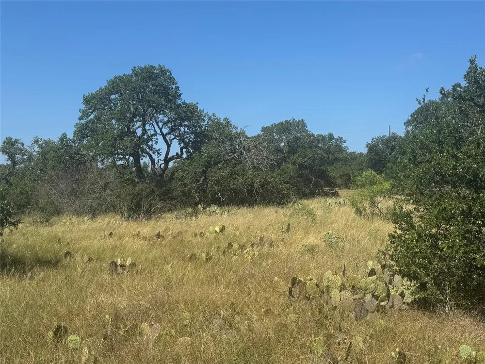 5 Back Bone creek Drive Burnet, TX 78611