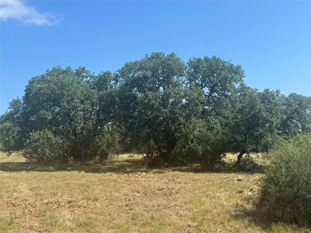5 Back Bone creek Drive Burnet, TX 78611