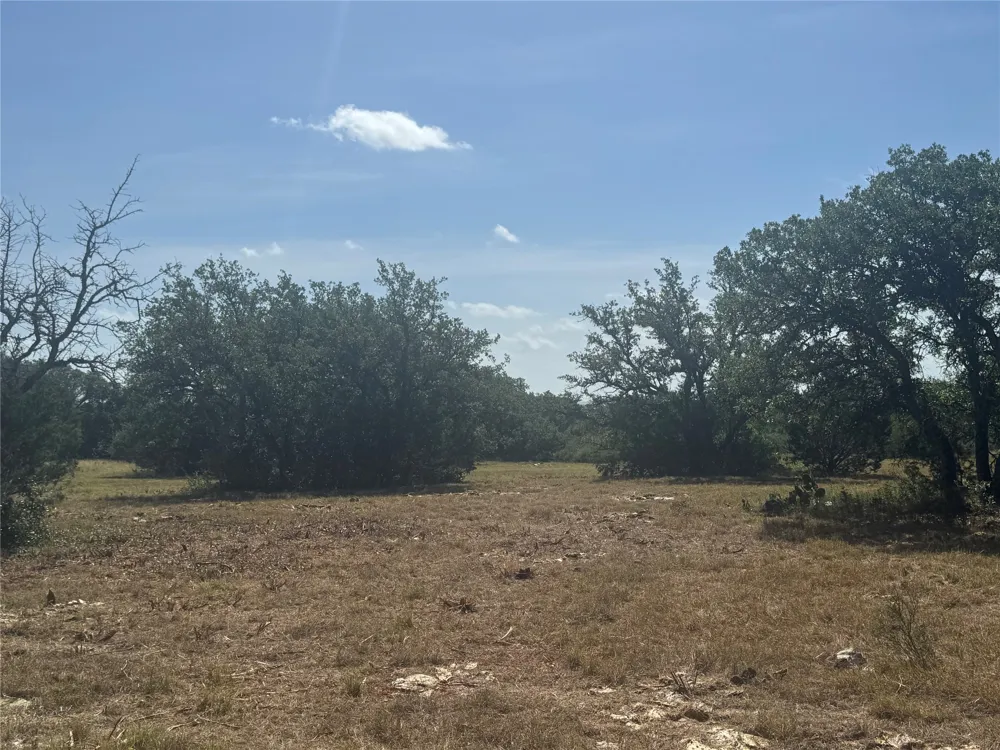 5 Back Bone creek Drive Burnet, TX 78611