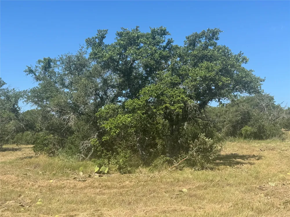 5 Back Bone creek Drive Burnet, TX 78611