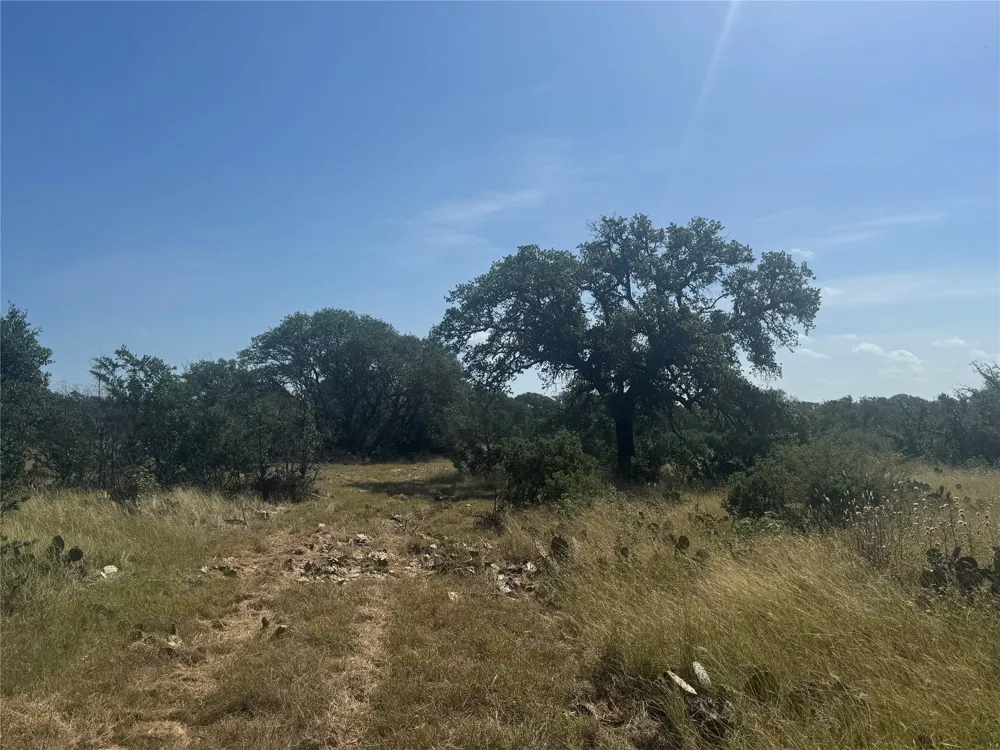 5 Back Bone creek Drive Burnet, TX 78611