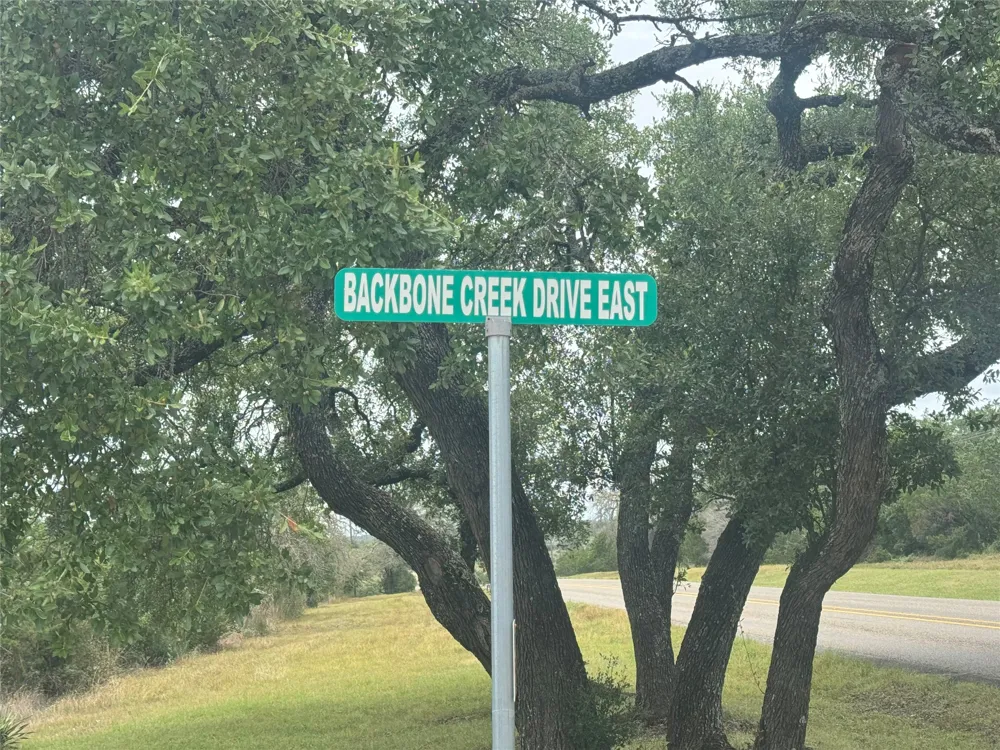 5 Back Bone creek Drive Burnet, TX 78611
