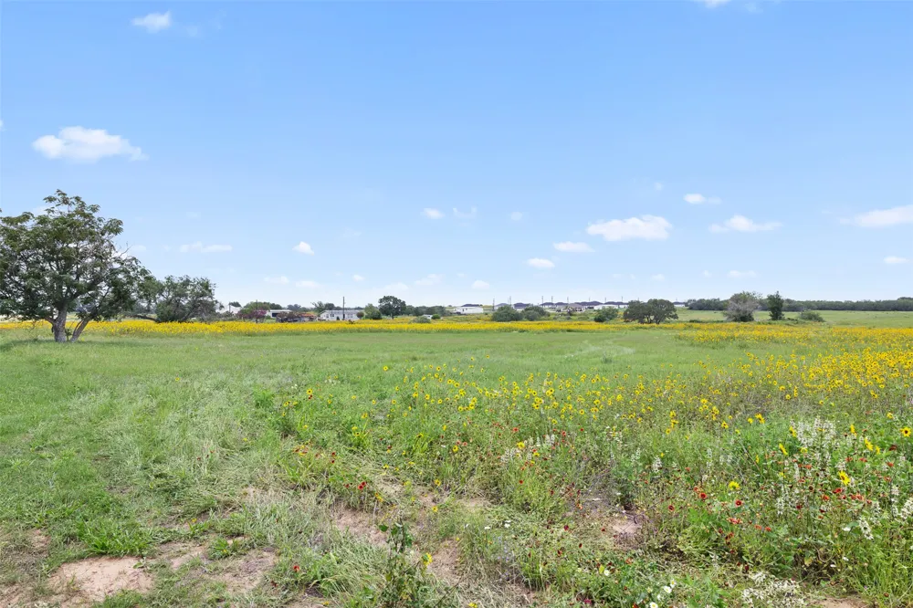10 County Road 342 La Vernia, TX 78121
