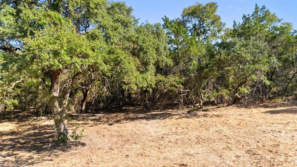817 Rutherford Fischer, TX 78623