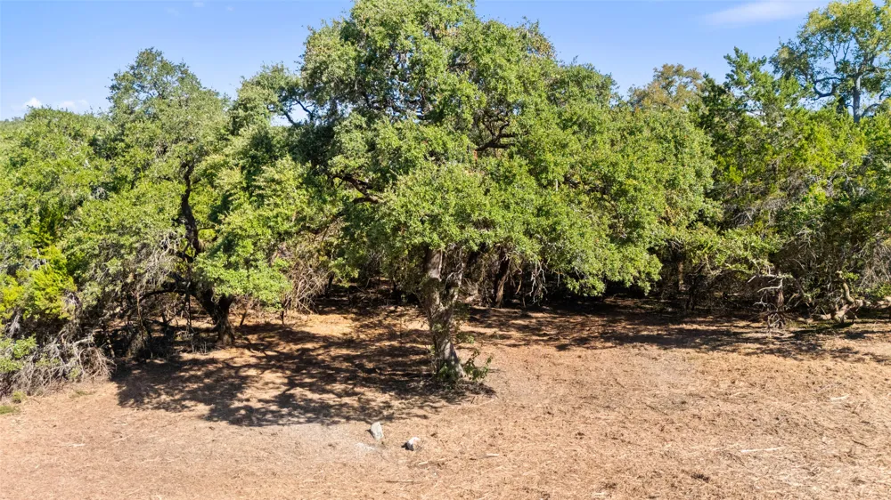 817 Rutherford Fischer, TX 78623