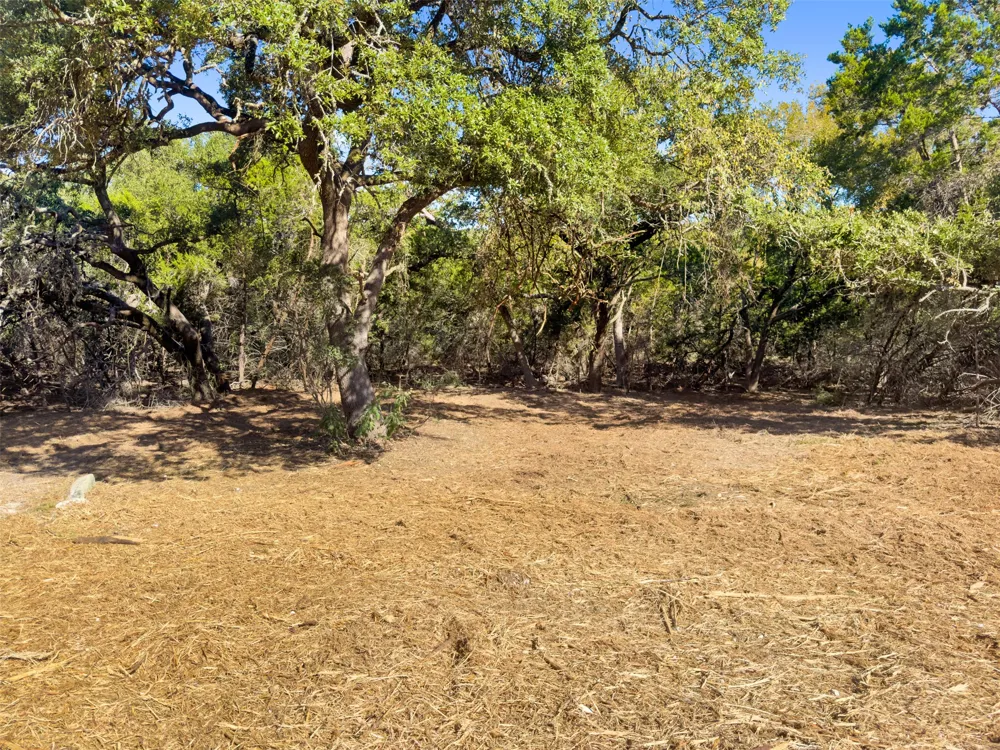 817 Rutherford Fischer, TX 78623