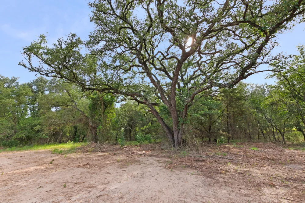 12200 Private Road 3641 Kempner, TX 76539