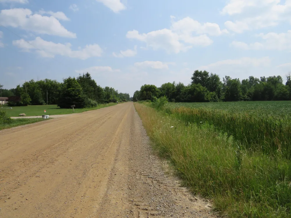 NE County Line Road Coleman, MI 48618