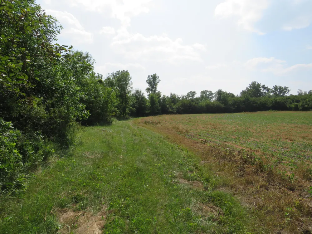 NE County Line Road Coleman, MI 48618