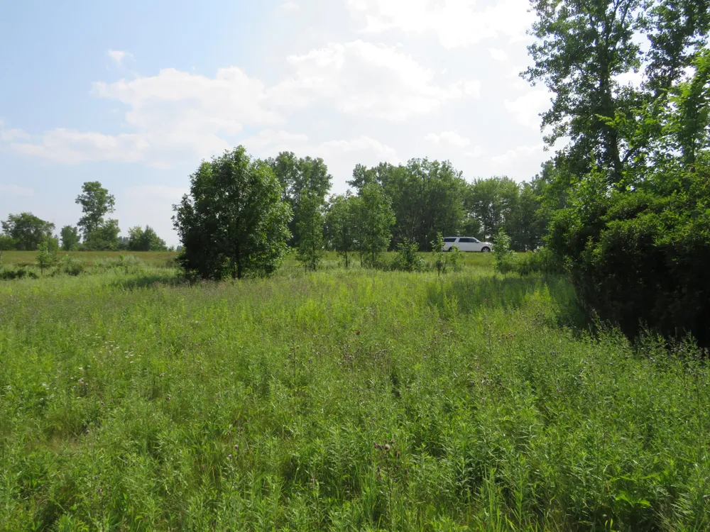 NE County Line Road Coleman, MI 48618