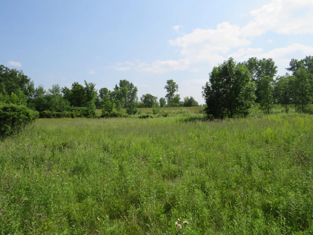 NE County Line Road Coleman, MI 48618