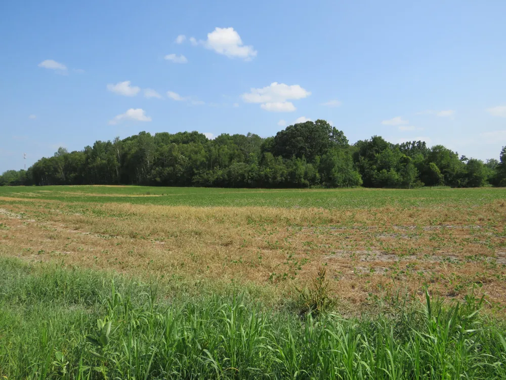NE County Line Road Coleman, MI 48618