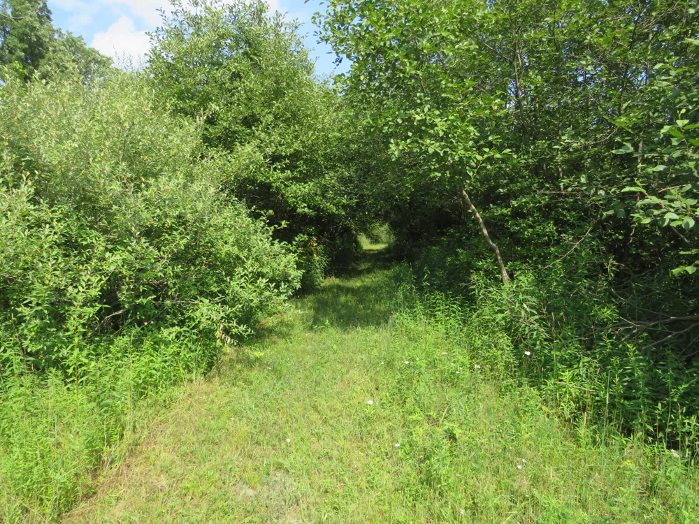 NE County Line Road Coleman, MI 48618