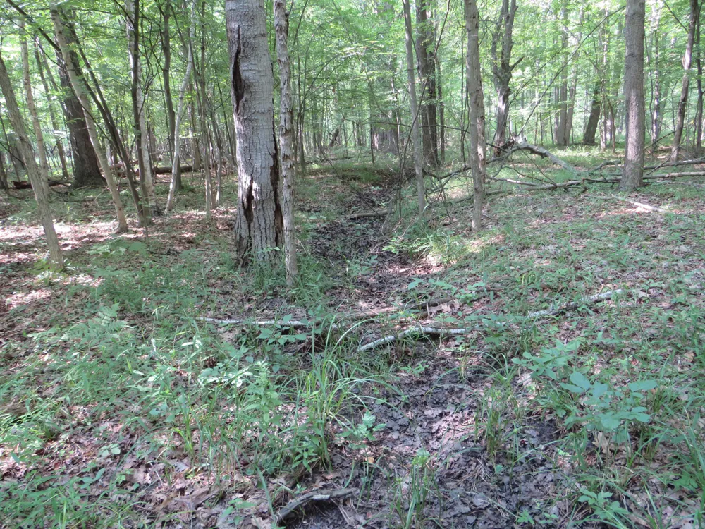 NE County Line Road Coleman, MI 48618