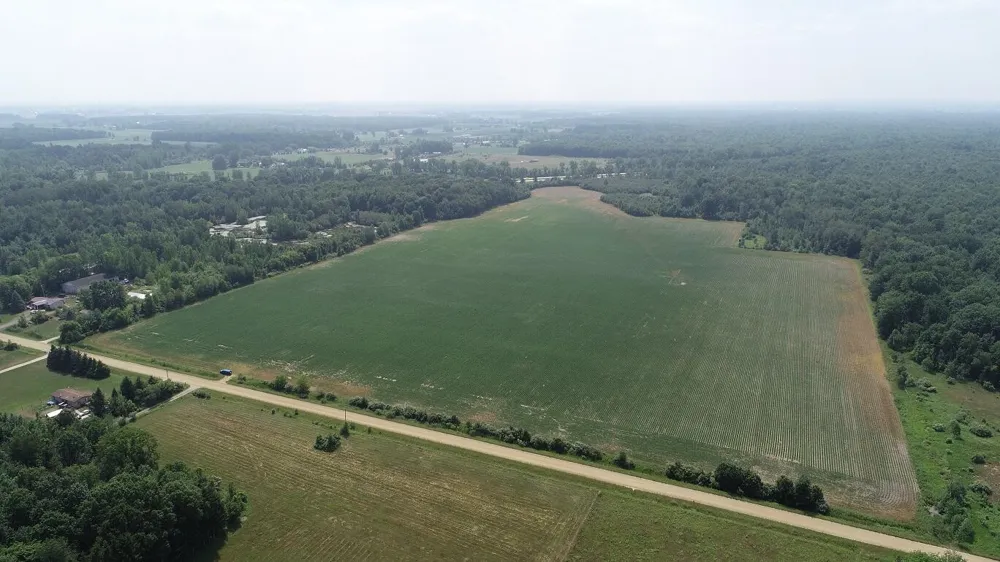 NE County Line Road Coleman, MI 48618