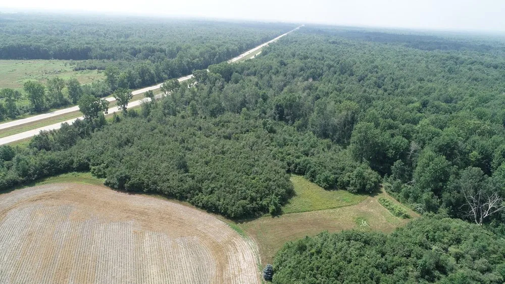 NE County Line Road Coleman, MI 48618