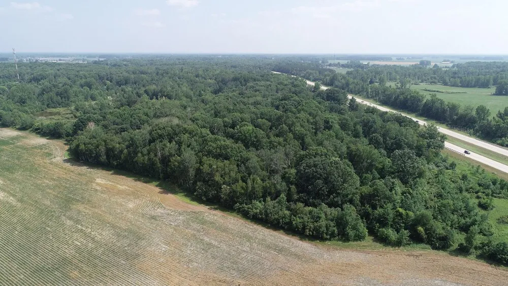 NE County Line Road Coleman, MI 48618