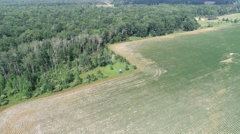 NE County Line Road Coleman, MI 48618