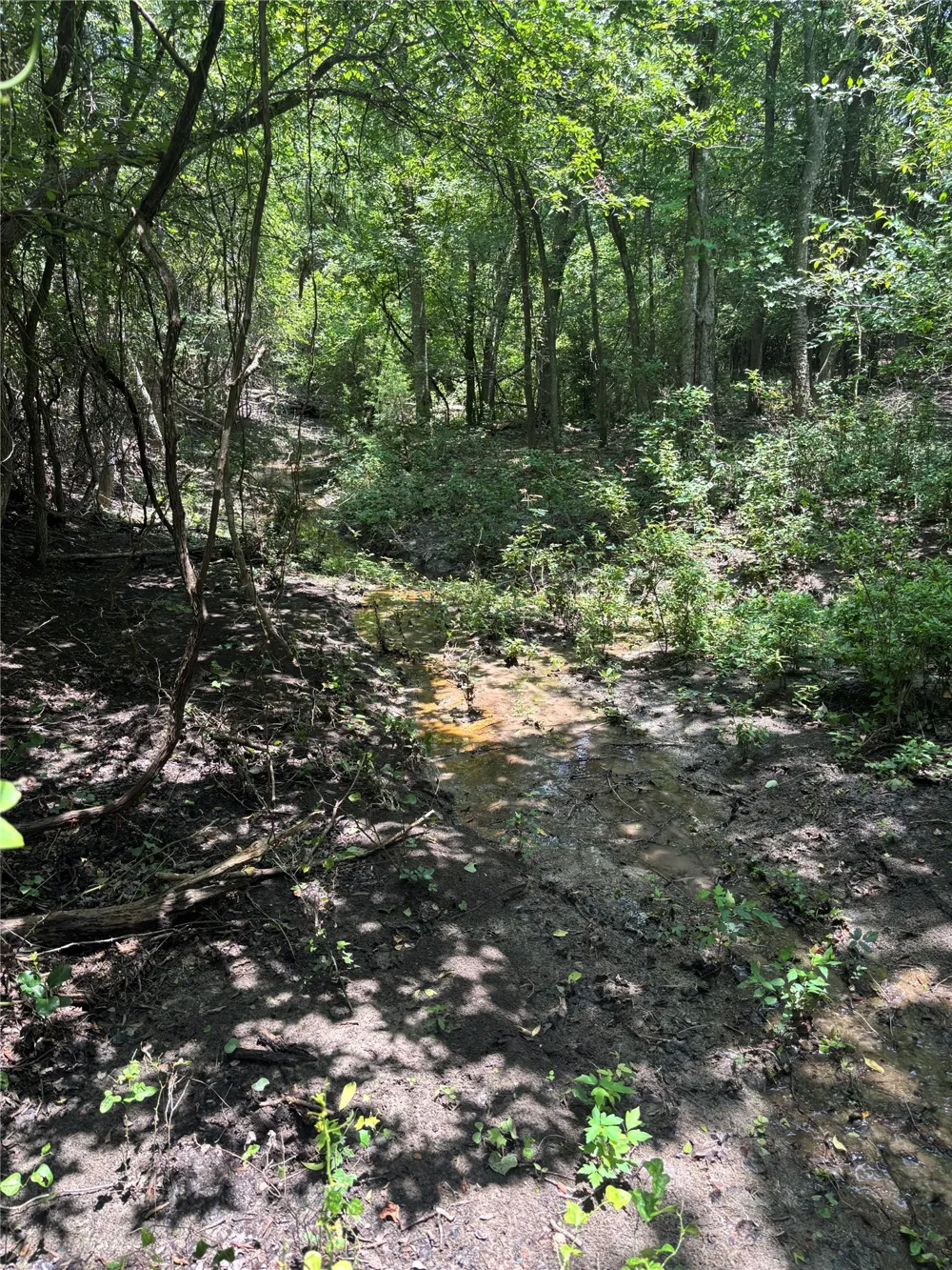 1500 Bottoms East Road Troy, TX 76579