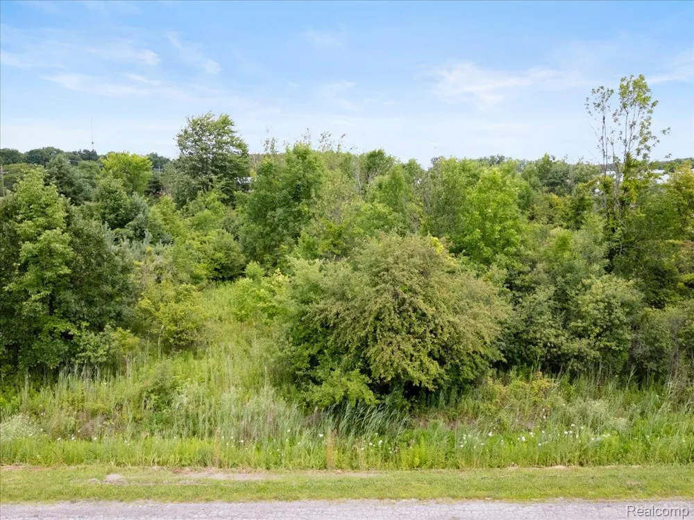 Yeager Port Huron Charter Township, MI 48060
