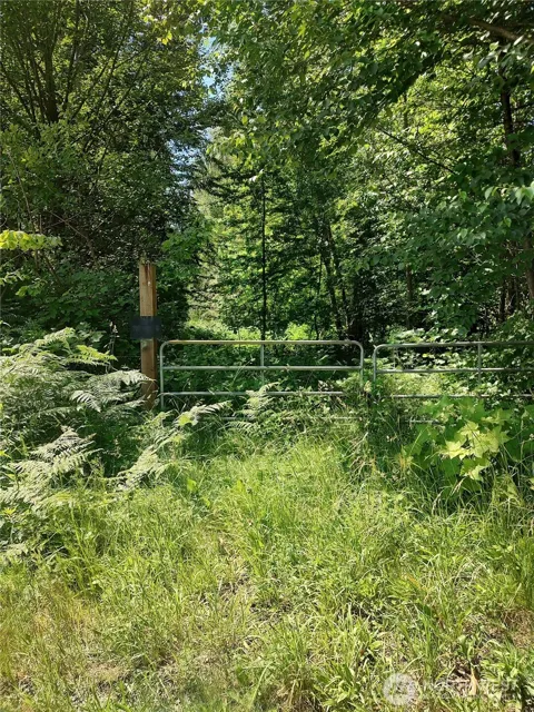 0 Custer School Road