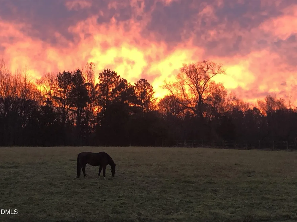 146 Hoke Brooks Road Siler City, NC 27344