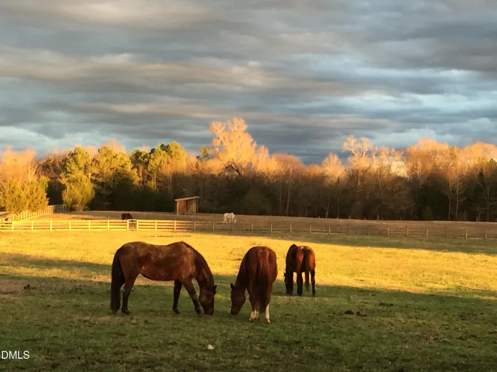 146 Hoke Brooks Road Siler City, NC 27344