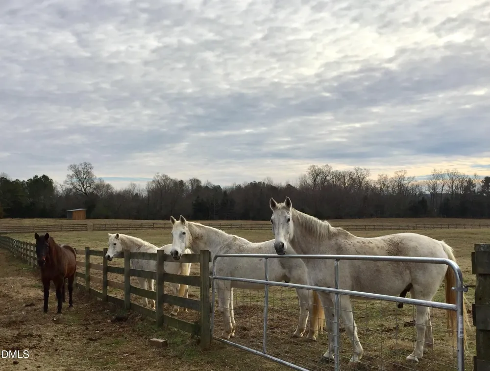 146 Hoke Brooks Road Siler City, NC 27344
