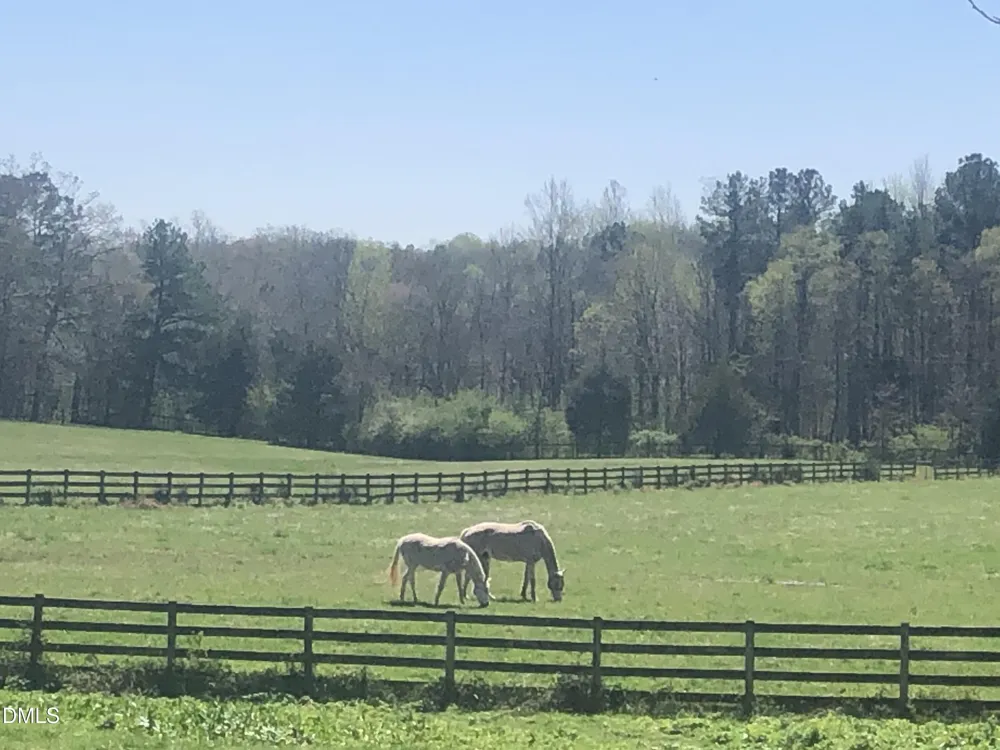 146 Hoke Brooks Road Siler City, NC 27344