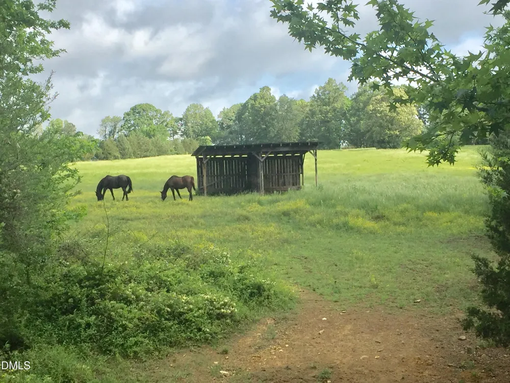 146 Hoke Brooks Road Siler City, NC 27344