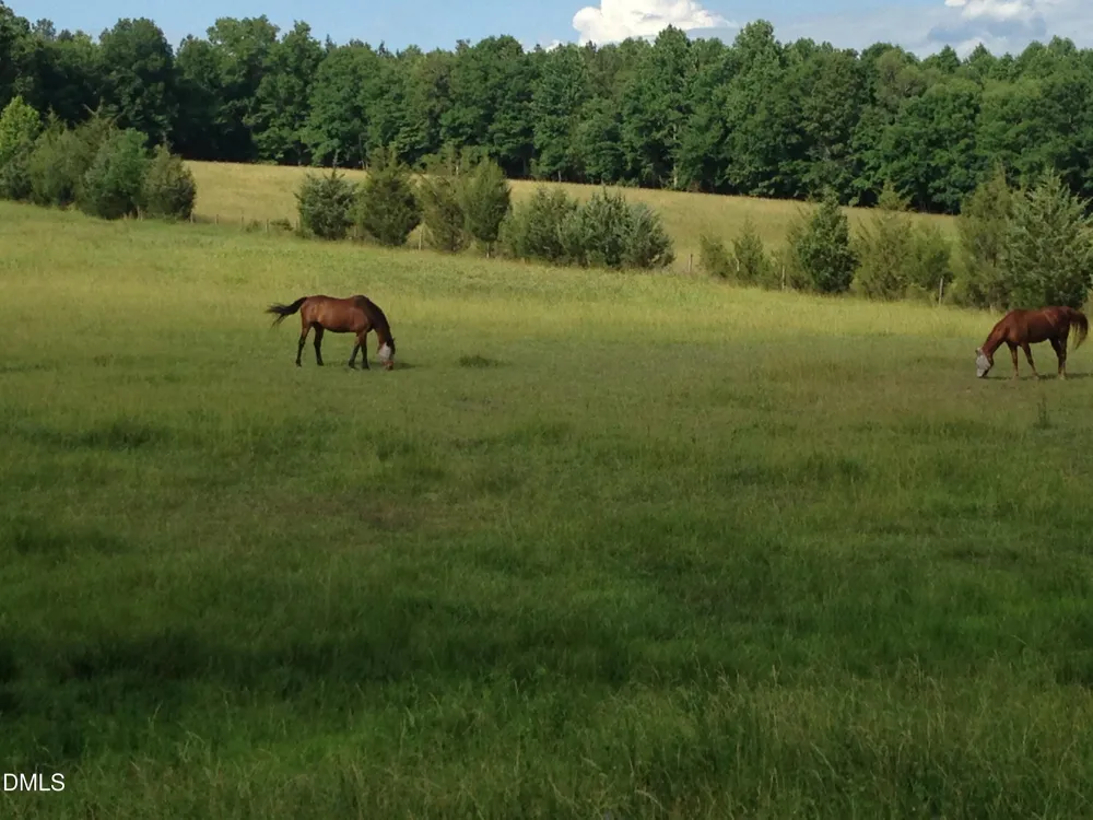 146 Hoke Brooks Road Siler City, NC 27344